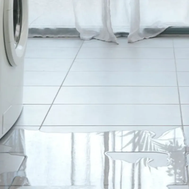 Appliance Leak Cleanup in Allendale, MI