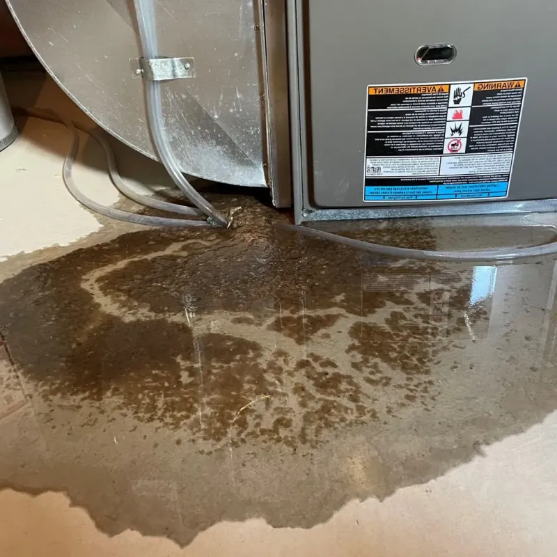 Pipe Burst and Leak Restoration in Allendale, MI
