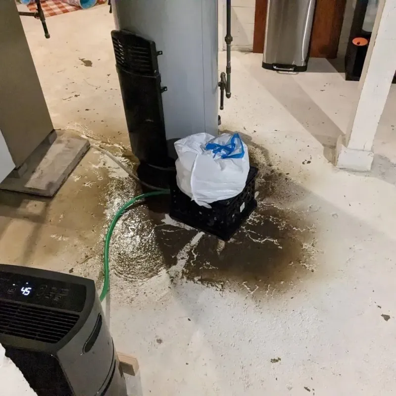 Sewage Backup Cleanup Service in Allendale, MI